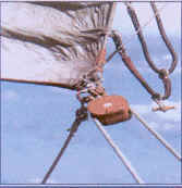 angolodiscottajpeg.jpg (49323 byte)